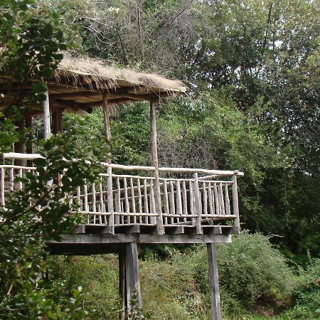 Puelo Siempreverde Villa Puelo River Bagian luar foto
