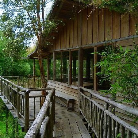 Puelo Siempreverde Villa Puelo River Bagian luar foto