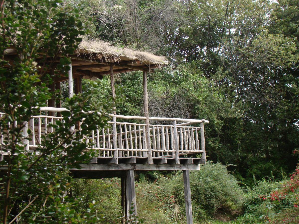 Puelo Siempreverde Villa Puelo River Bagian luar foto