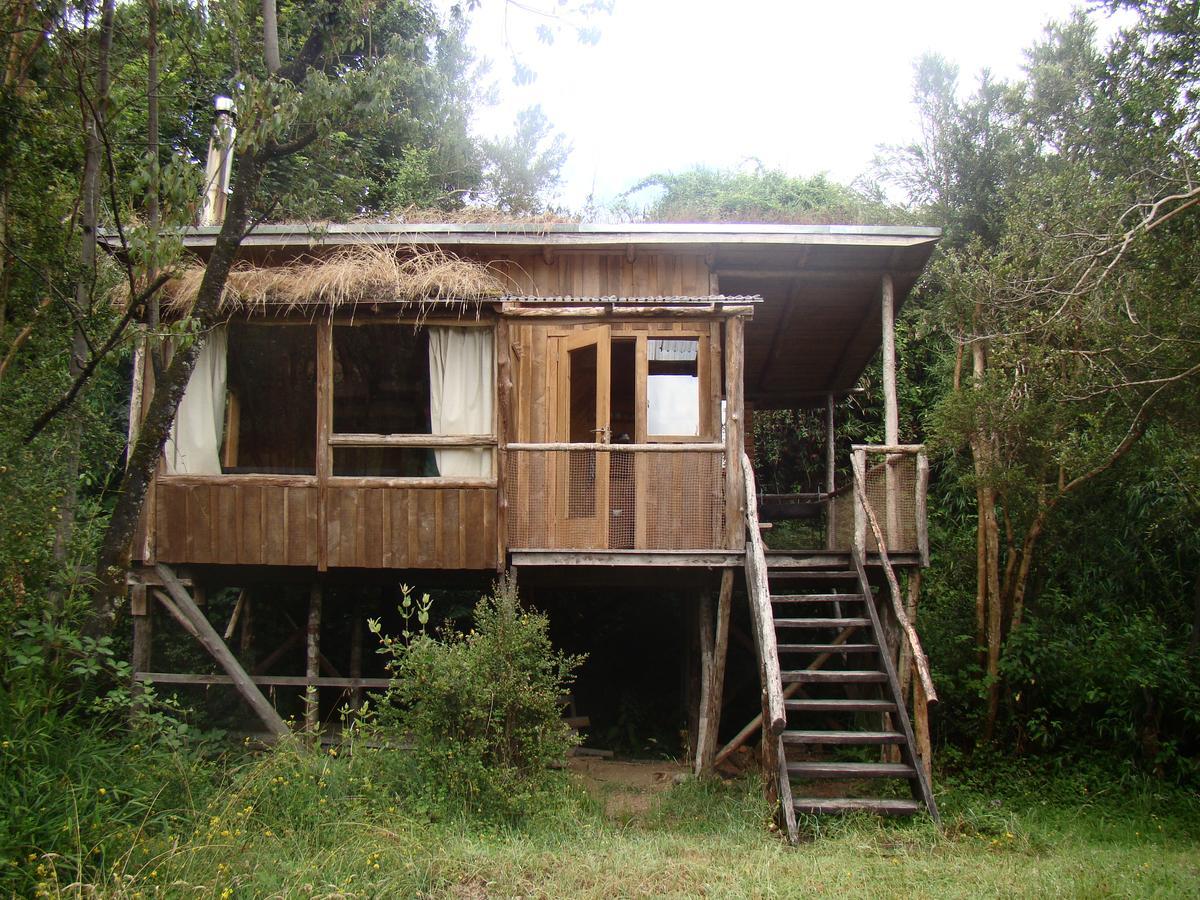 Puelo Siempreverde Villa Puelo River Bagian luar foto